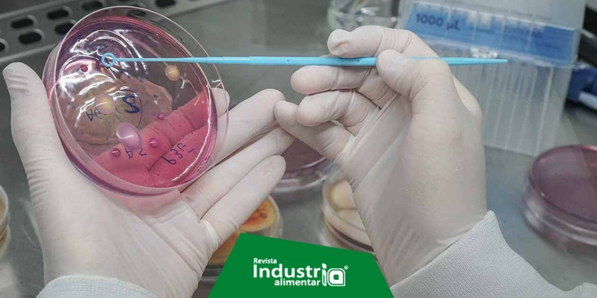 Nuevos métodos de detección de patógenos en alimentos: un camino hacia la seguridad Revista Industria Alimentaria